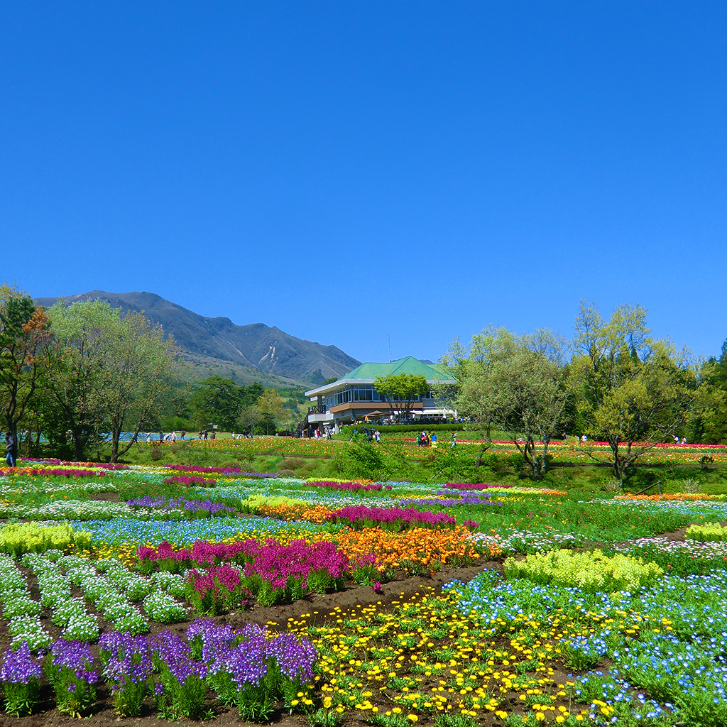 くじゅう花公園